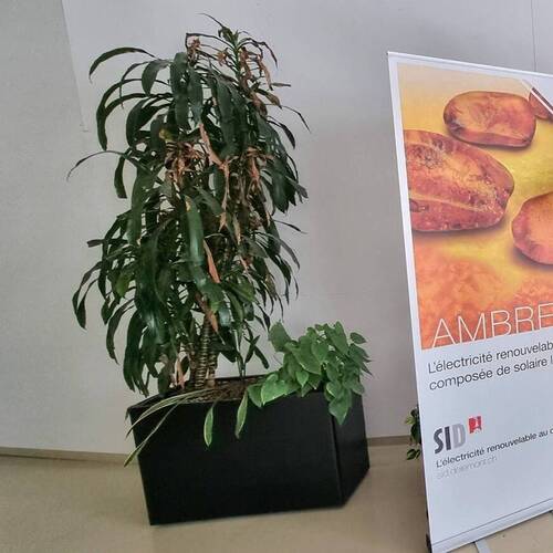 Les Fêtes en toute sécurité avec Nez Rouge